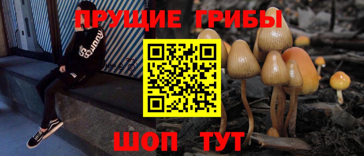 Галлюциногенные грибы ЛСД  Вход с VPN  Чистополь 